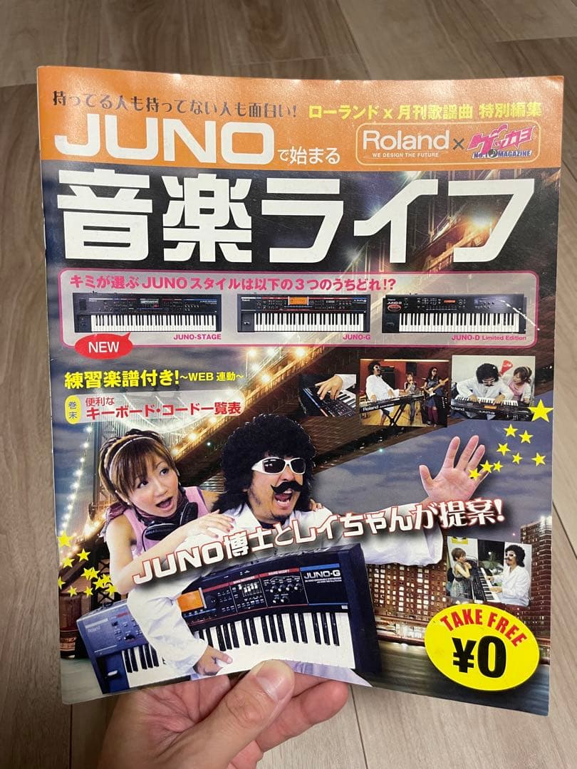 Roland ローランド シンセサイザー JUNO-G 【訳あり品】