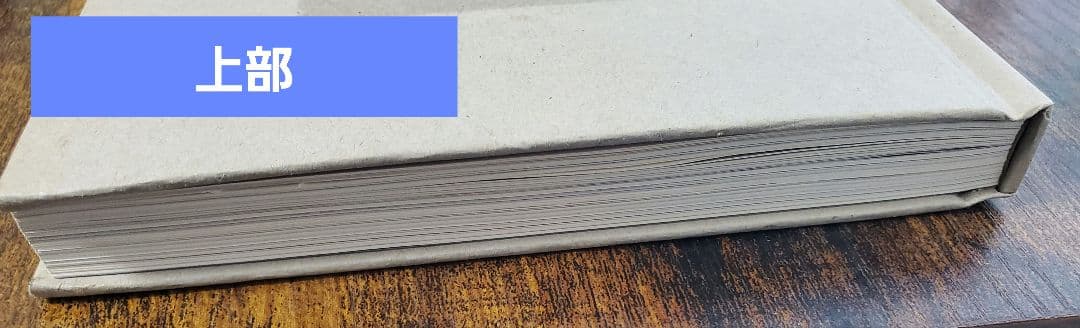 SHINee ジョンヒョン 山荷葉 산하엽 小説 JONGHYUN