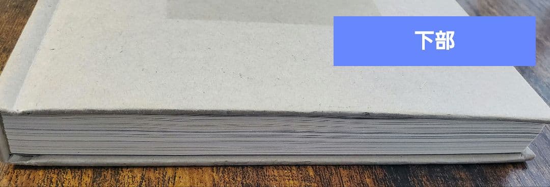 SHINee ジョンヒョン 山荷葉 산하엽 小説 JONGHYUN