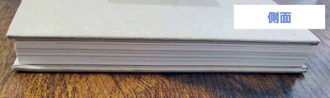 SHINee ジョンヒョン 山荷葉 산하엽 小説 JONGHYUN