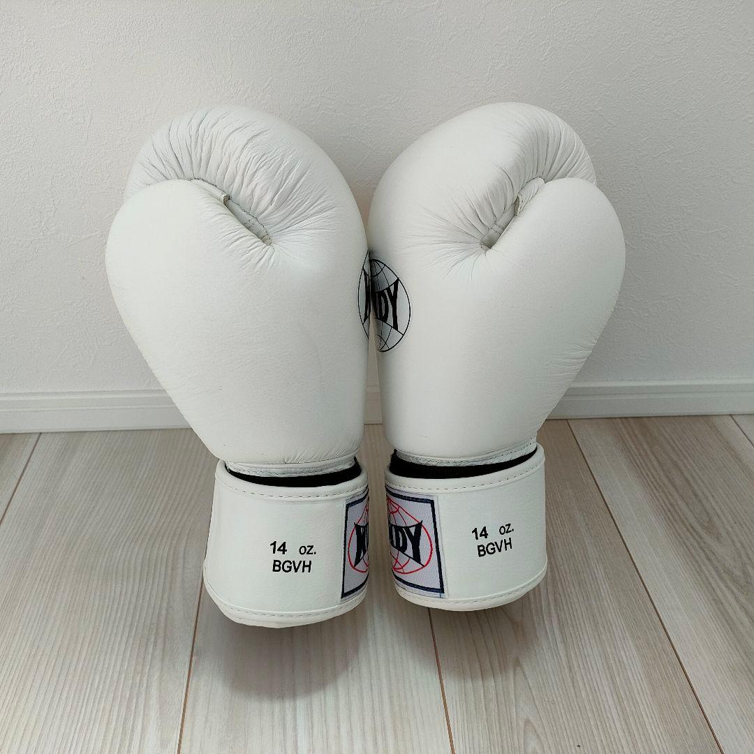 【美品✨】WESING/WINDY ボクシンググローブセット