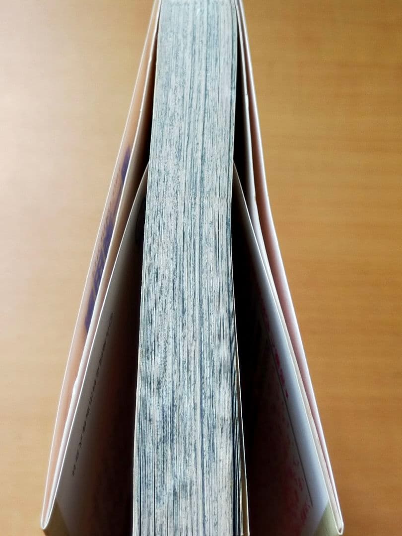 ワンピース ONEPIECE 1巻 初版 尾田栄一郎 ジャンプ 集英社