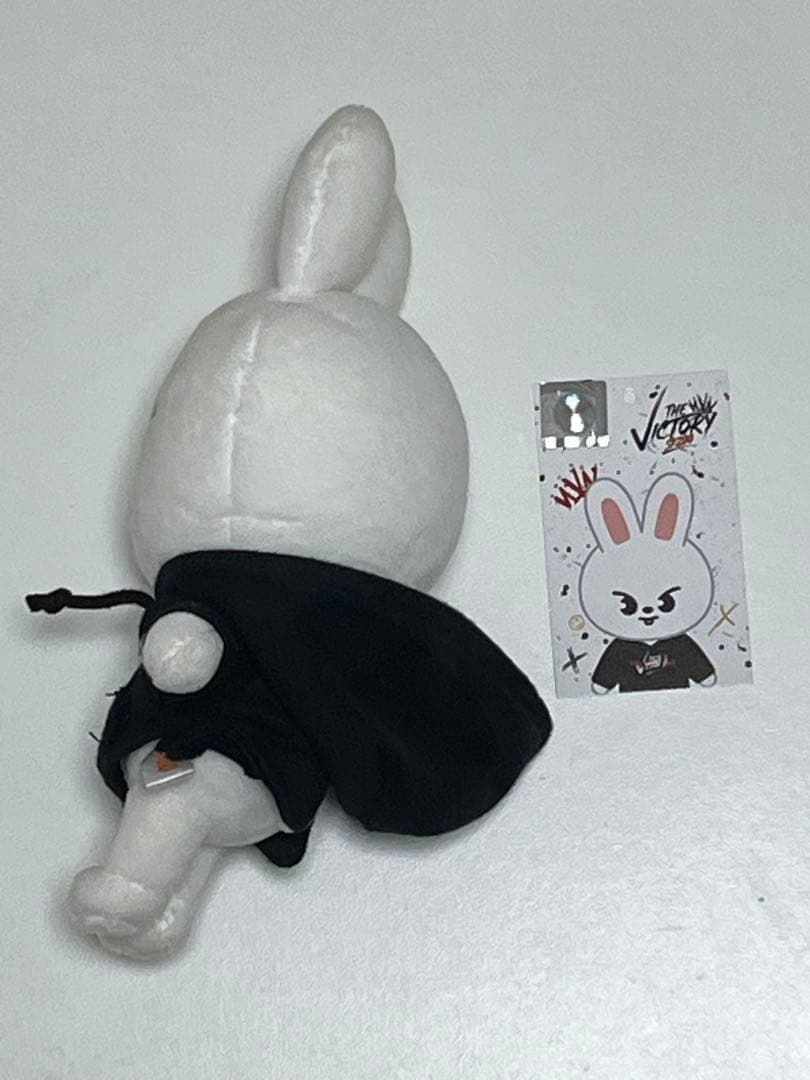 【Stray Kids】 Leebit ７種