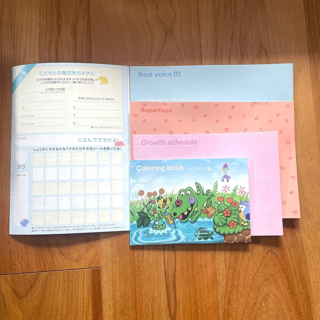 レヨン　スーパーフード20包2袋、10包1袋、付属ブック