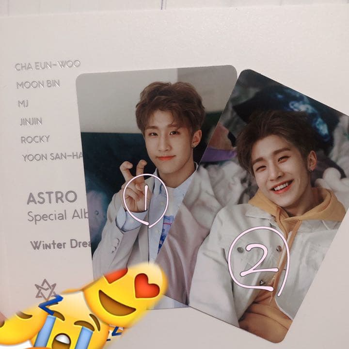 ✔説明必読 ASTRO winter dream ジンジン