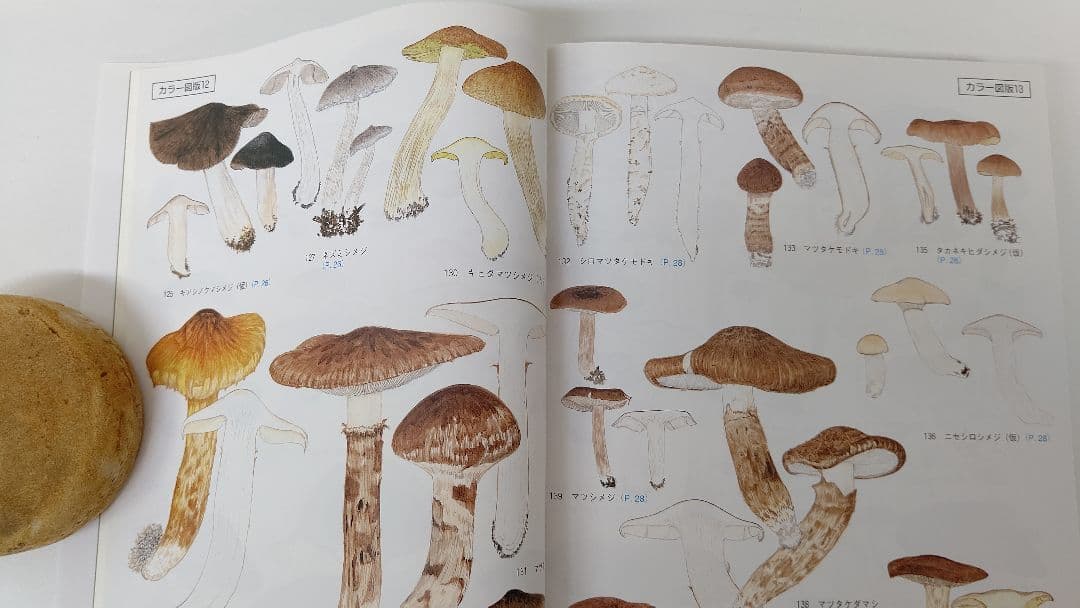 新版 北陸のきのこ図鑑 ＋ 追補 北陸のきのこ図鑑 付石川県菌蕈集録 稀覯本