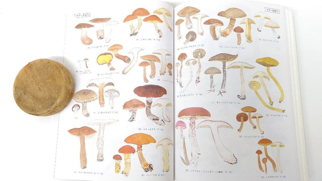 新版 北陸のきのこ図鑑 ＋ 追補 北陸のきのこ図鑑 付石川県菌蕈集録 稀覯本