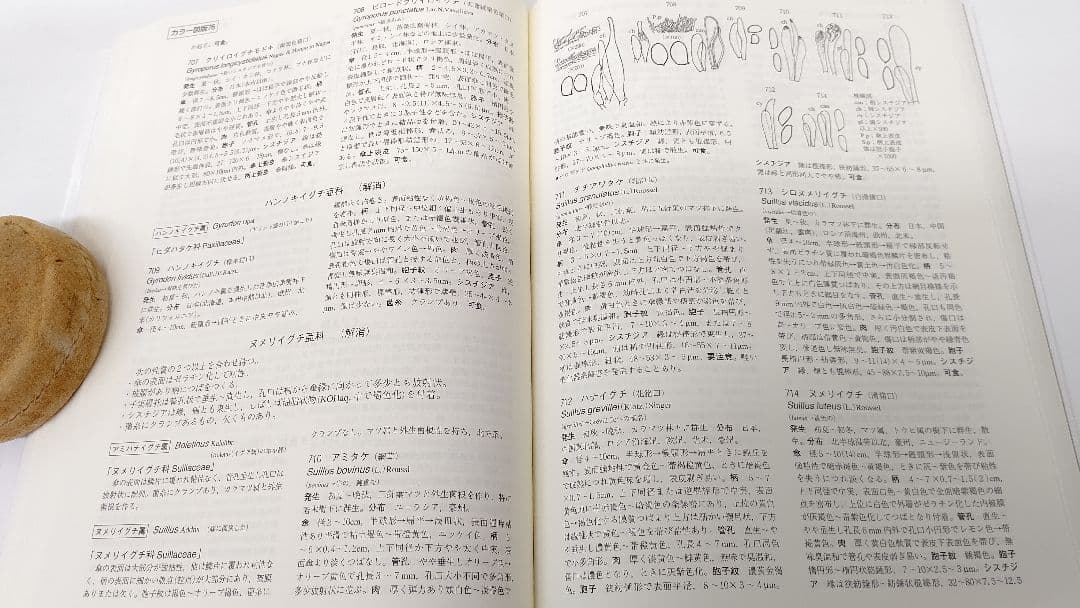 新版 北陸のきのこ図鑑 ＋ 追補 北陸のきのこ図鑑 付石川県菌蕈集録 稀覯本