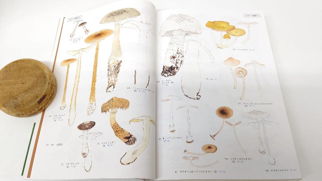 新版 北陸のきのこ図鑑 ＋ 追補 北陸のきのこ図鑑 付石川県菌蕈集録 稀覯本