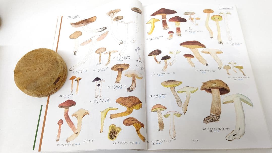新版 北陸のきのこ図鑑 ＋ 追補 北陸のきのこ図鑑 付石川県菌蕈集録 稀覯本