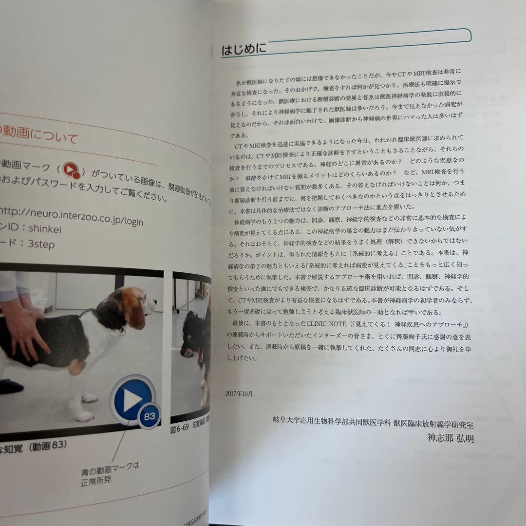 3ステップで考える犬と猫の神経疾患の診断アプローチ