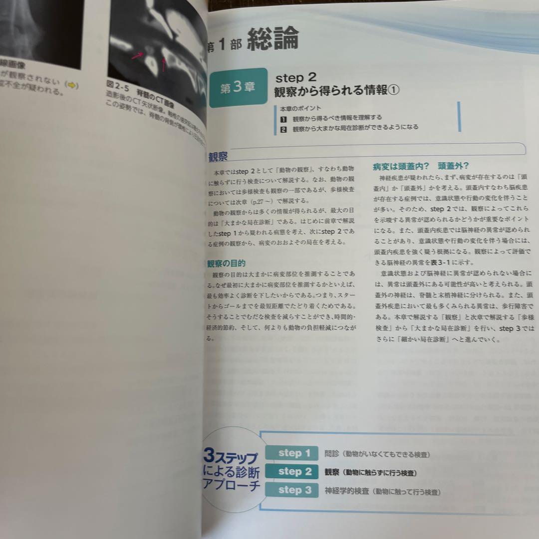 3ステップで考える犬と猫の神経疾患の診断アプローチ