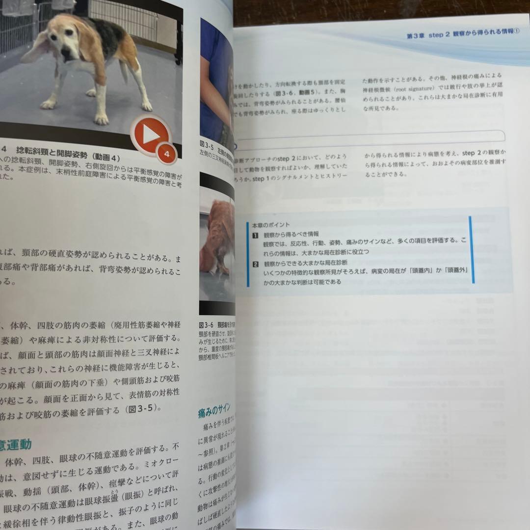 3ステップで考える犬と猫の神経疾患の診断アプローチ