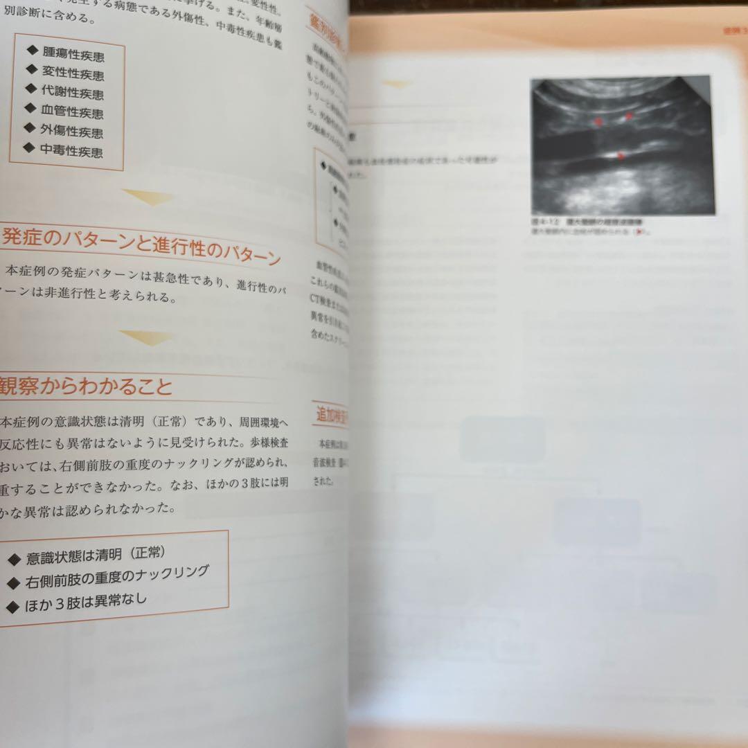 3ステップで考える犬と猫の神経疾患の診断アプローチ