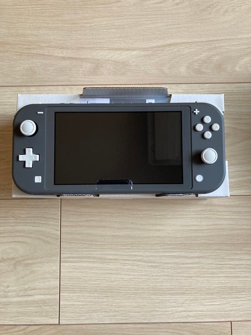 Nintendo Switch Nintendo switch lite gray
