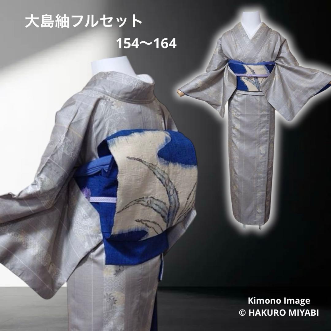 フ　正絹　大島紬　小紋　フルセット　白紬　カジュアル　【ミト】