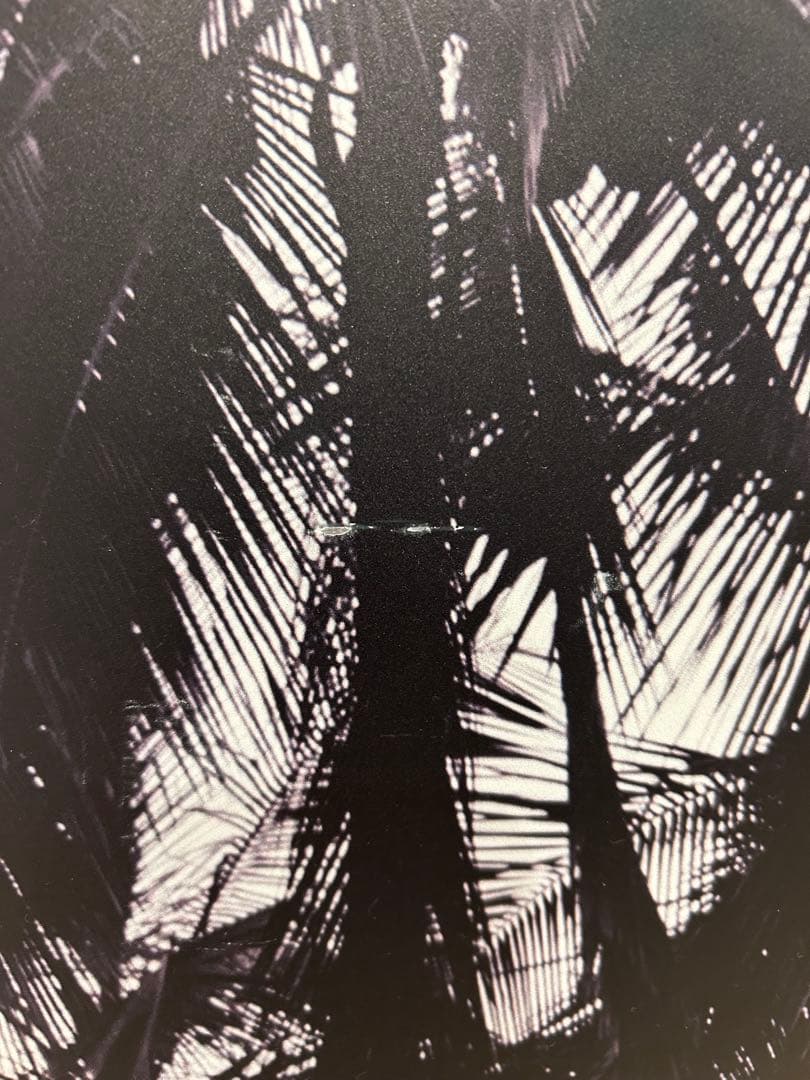 BoConcept ヤシの木　インテリアパネル ハワイアン　絵　壁掛け