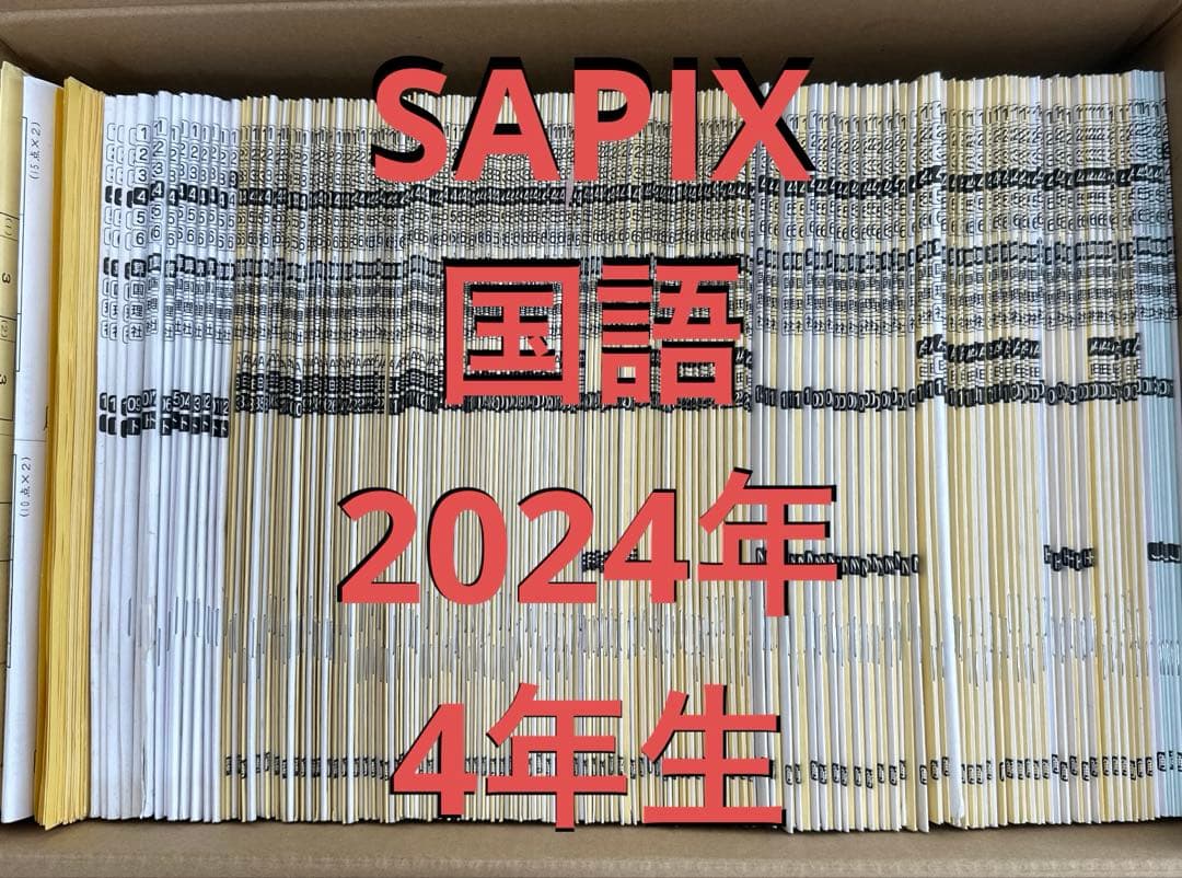 サピックステキスト　2024年４年生
