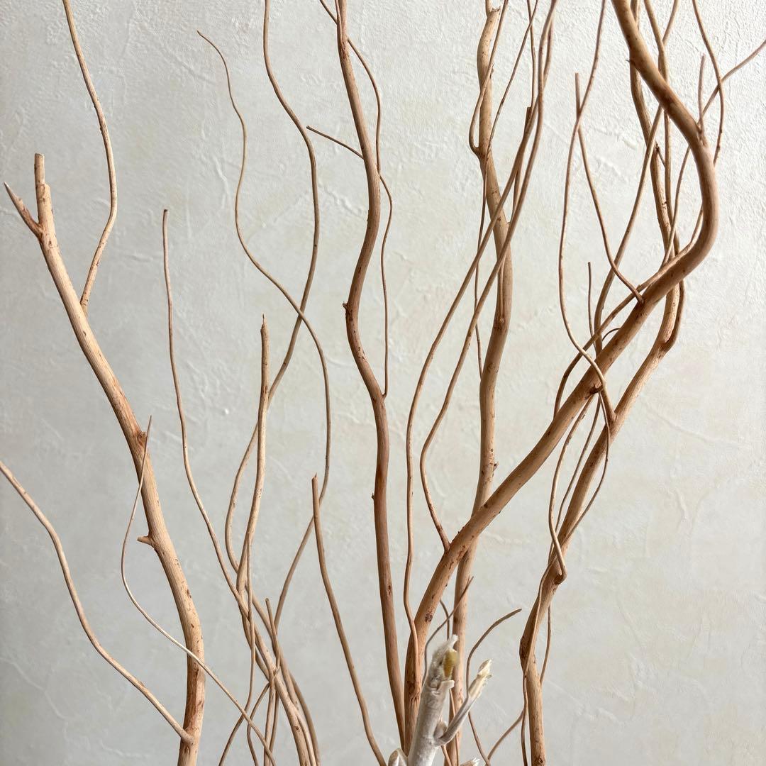 MODERN PEOPLES HALFMOON フラワーベース S