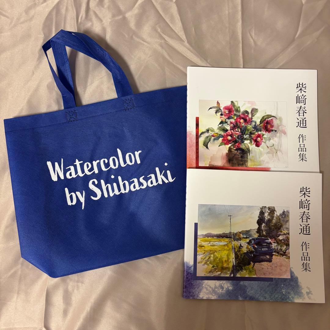 柴崎春通 作品集（展示会限定）