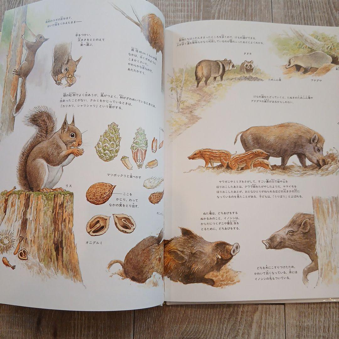 ⭐美品⭐小2～くもん推薦図書など　絵本児童書まとめ売り30冊