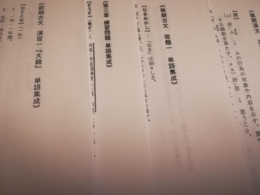 鉄緑会　高2時の古文及び漢文の単語集成と文法解説集　通年分フルセット　駿台　国語