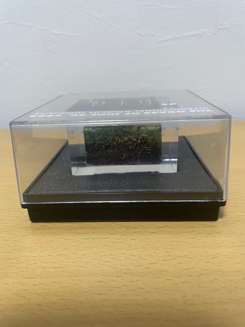 2002年　日韓ワールドカップ　決勝戦記念　ピッチ芝　サッカー