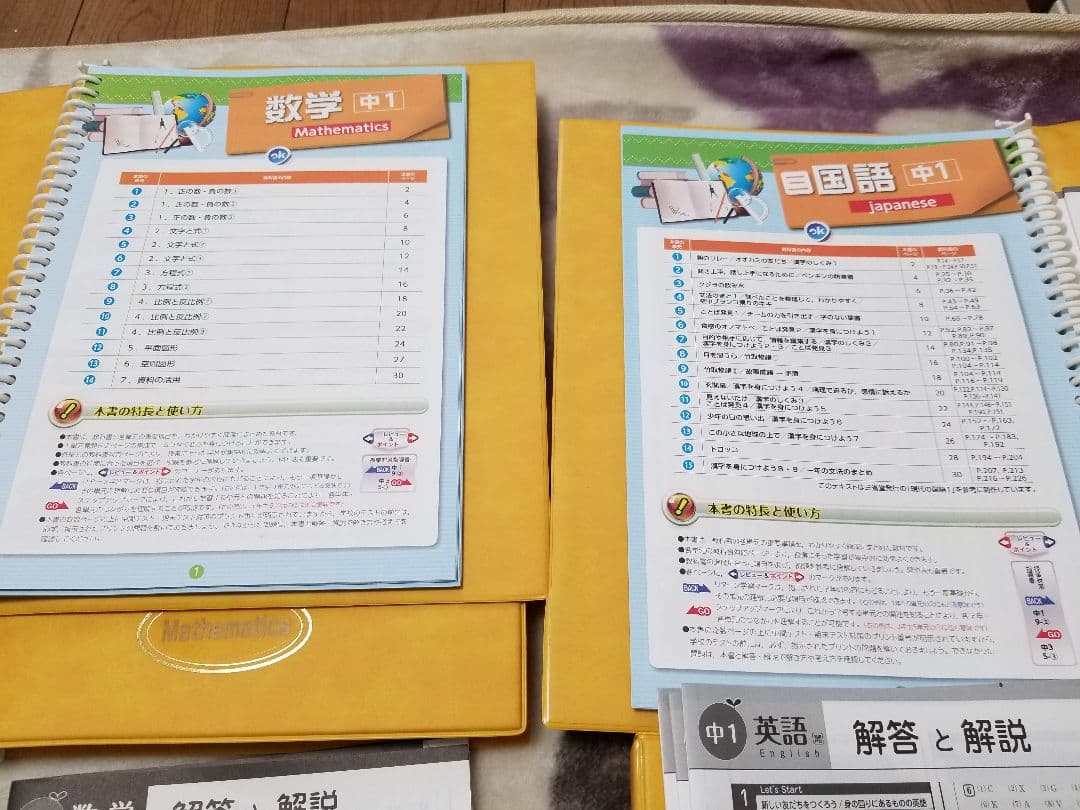 Zesty　５科目　28年度版