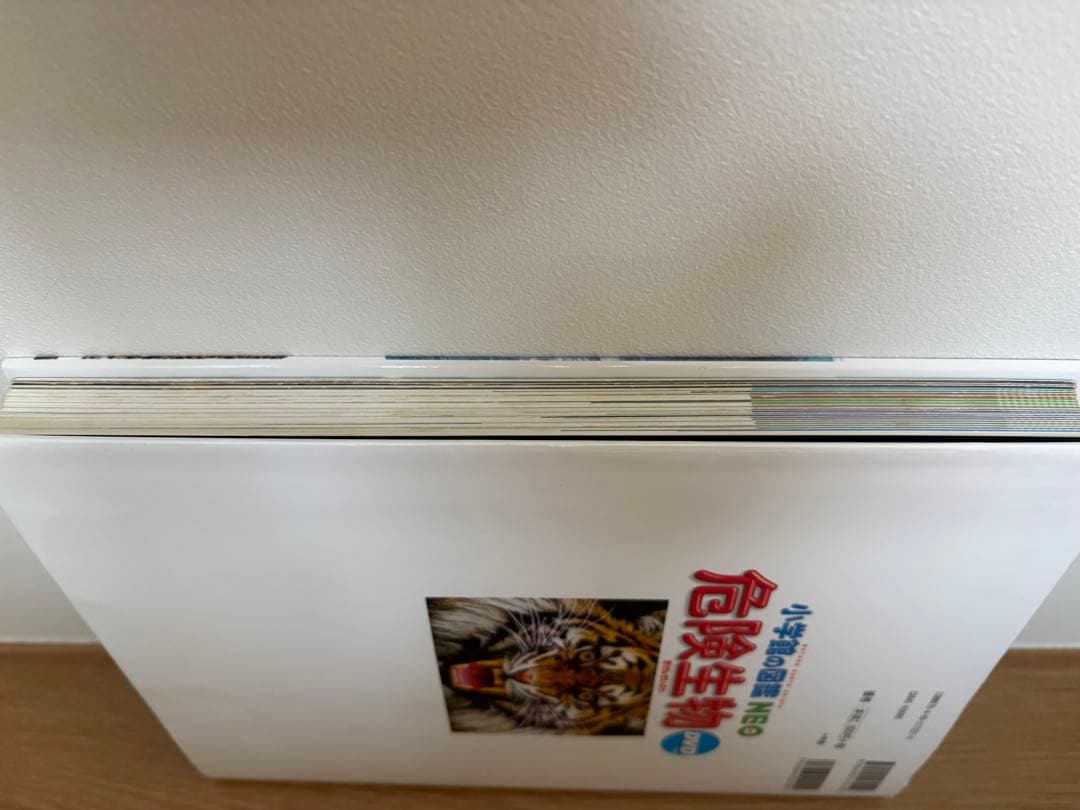 小学館の図鑑NEO 全13冊