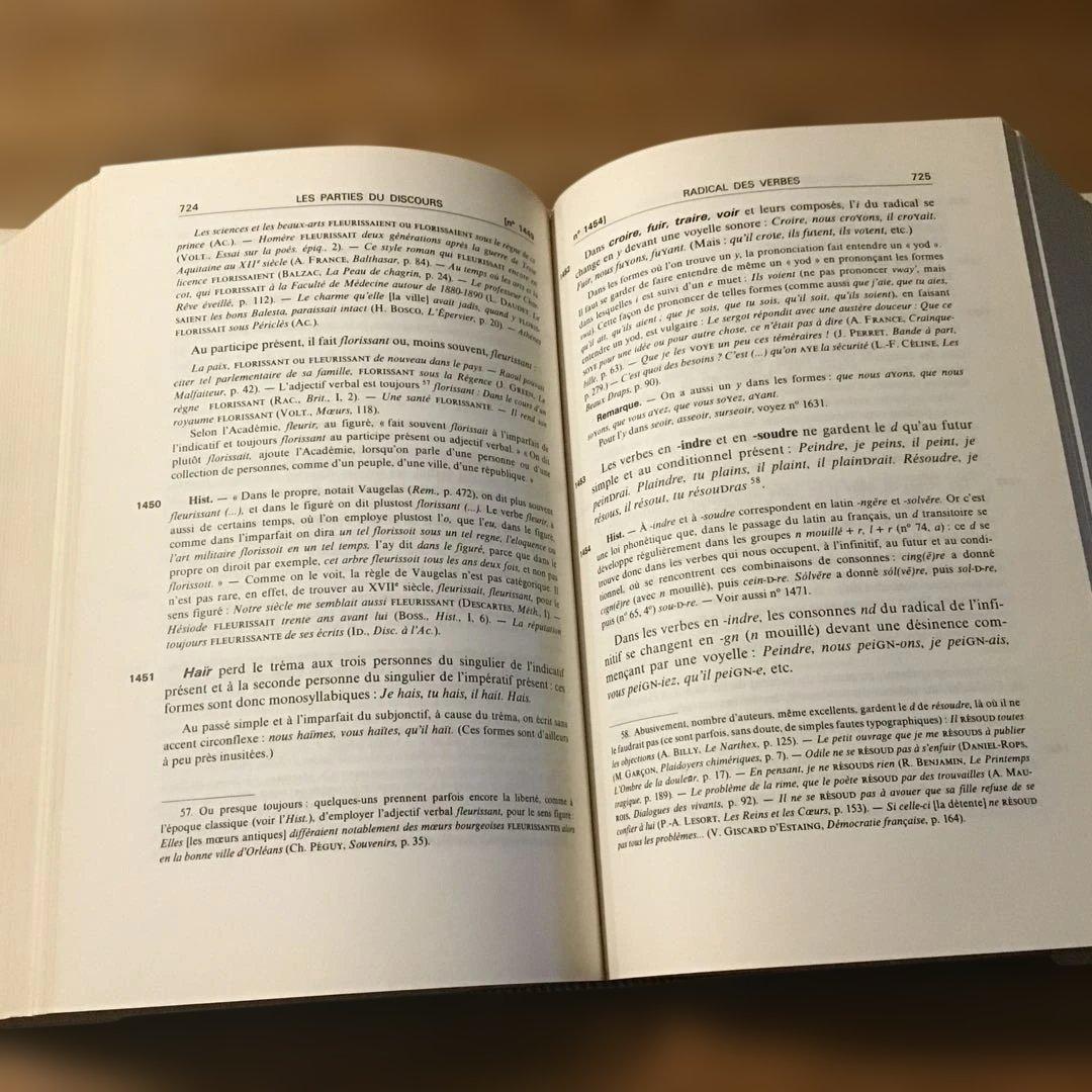 語学・辞書・学習参考書 GREVISSE le bon usage DUCULOT