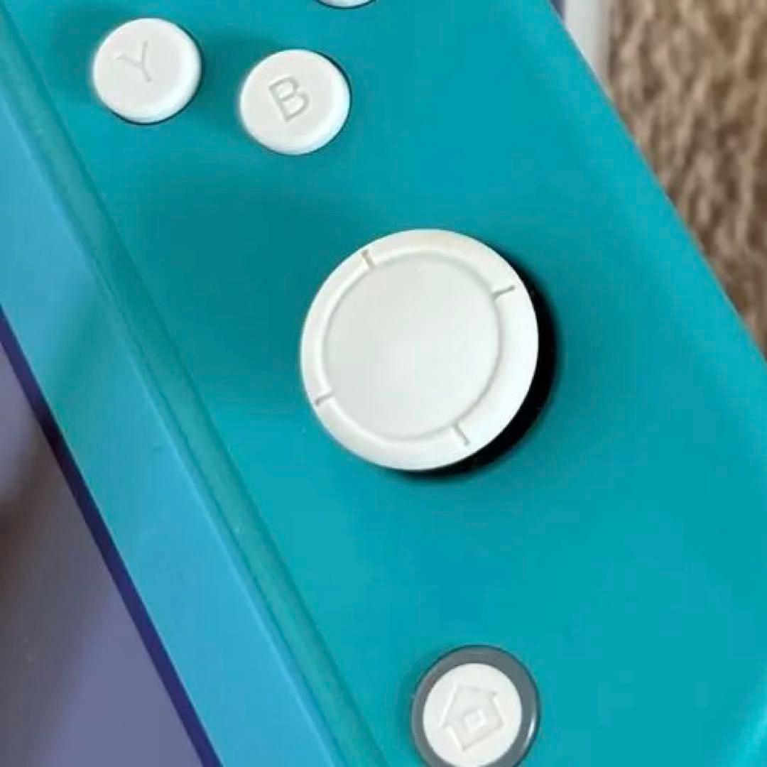 Switch Lite本体と充電器