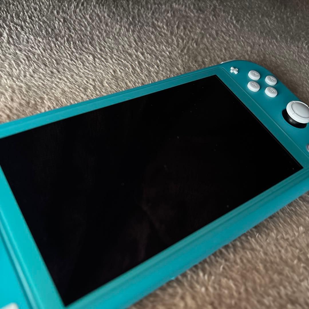 Switch Lite本体と充電器