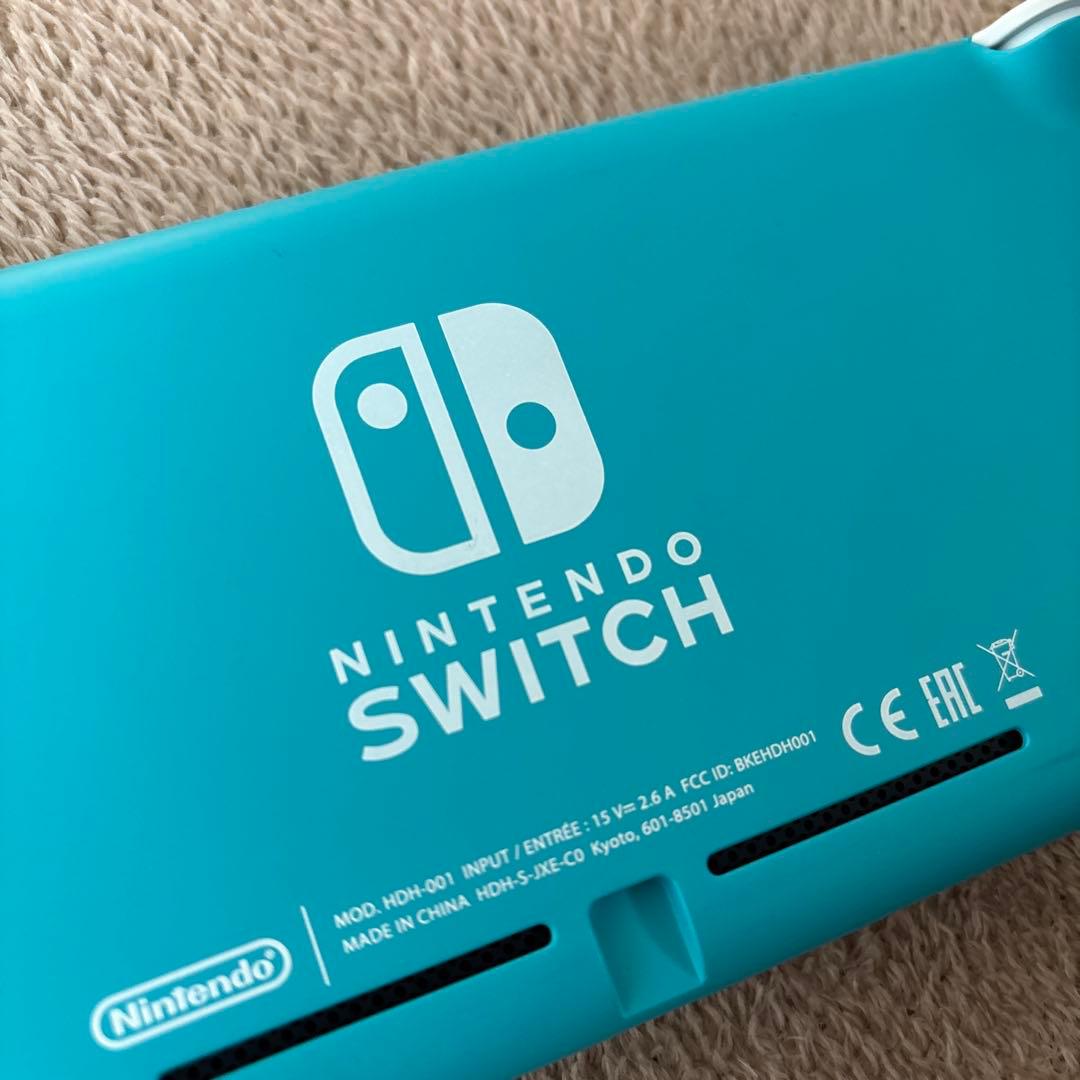 Switch Lite本体と充電器