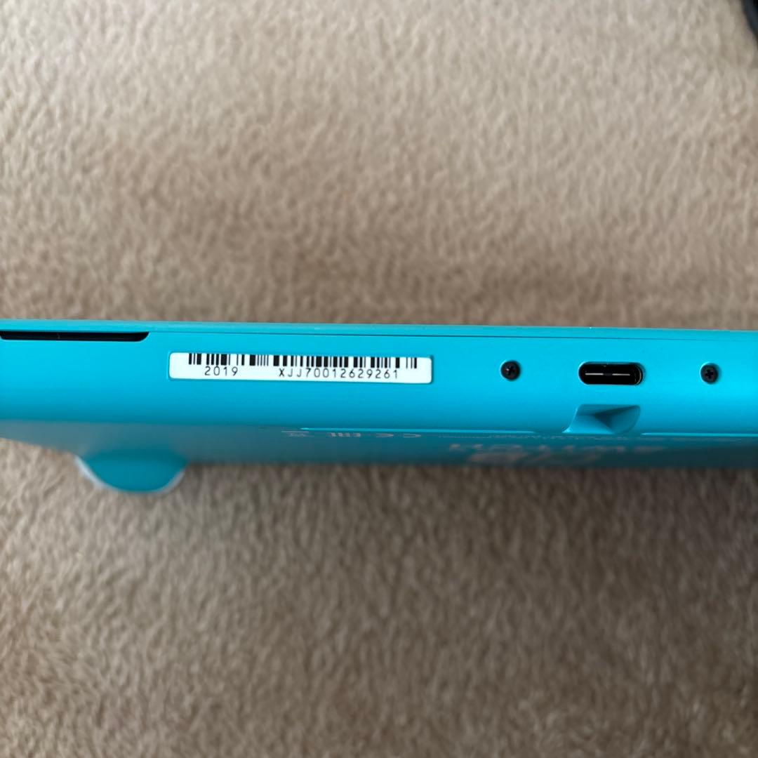 Switch Lite本体と充電器