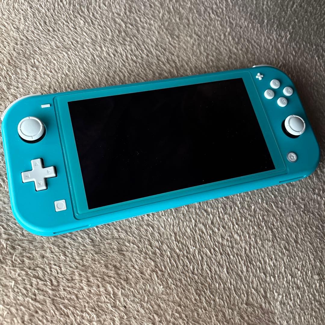 Switch Lite本体と充電器