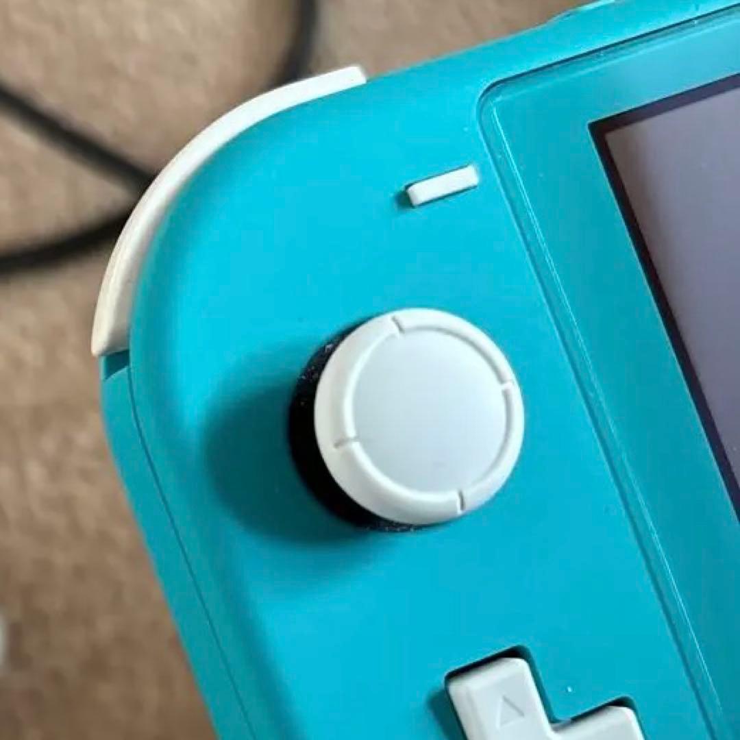 Switch Lite本体と充電器