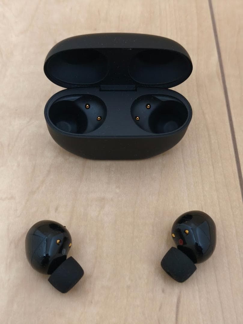 SONY WF-1000XM5※イヤホン、充電ケースのみ