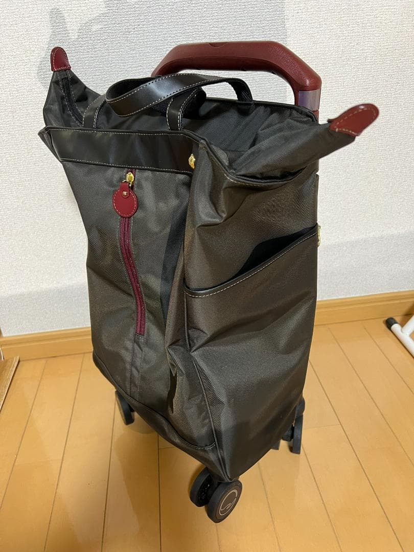 ACE soelte ソエルテ アルディート 20リットル