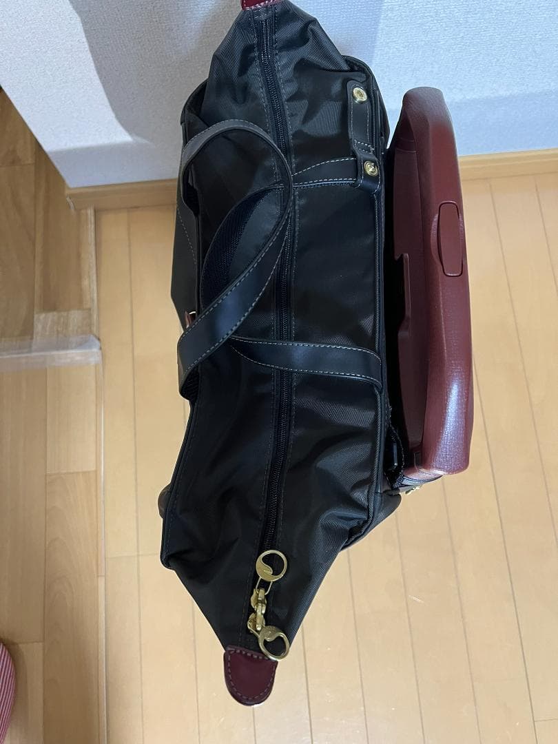 ACE soelte ソエルテ アルディート 20リットル