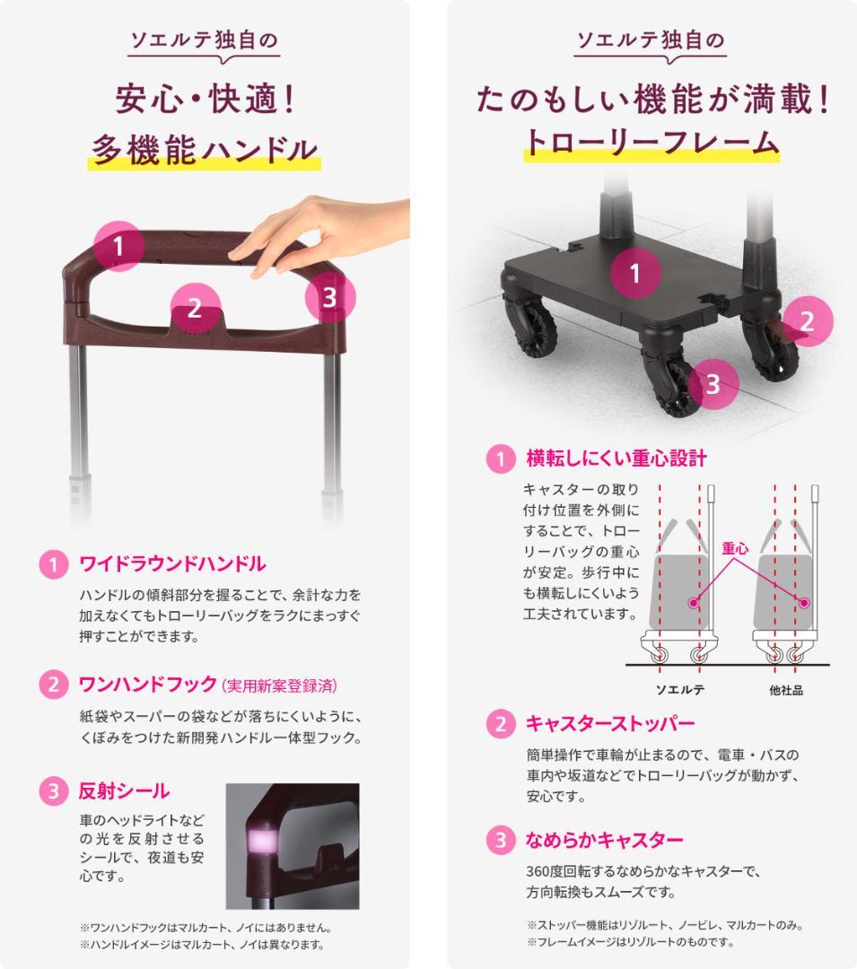 ACE soelte ソエルテ アルディート 20リットル