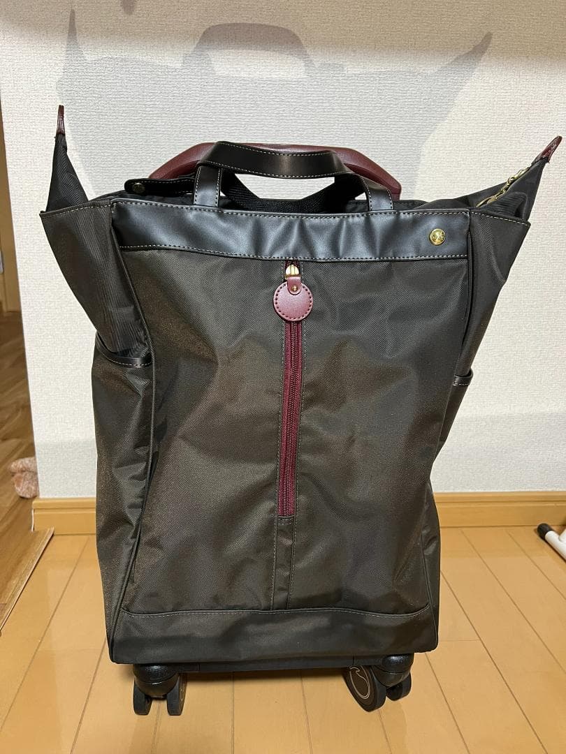 ACE soelte ソエルテ アルディート 20リットル