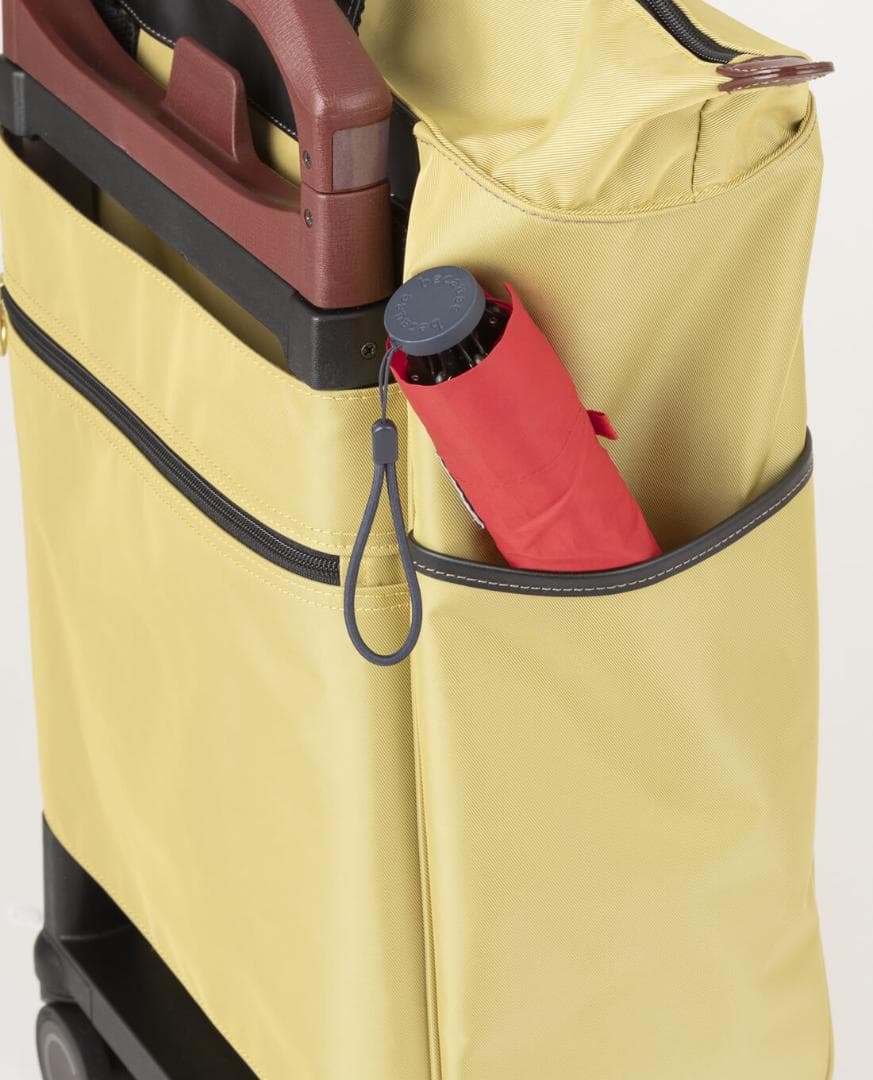 ACE soelte ソエルテ アルディート 20リットル