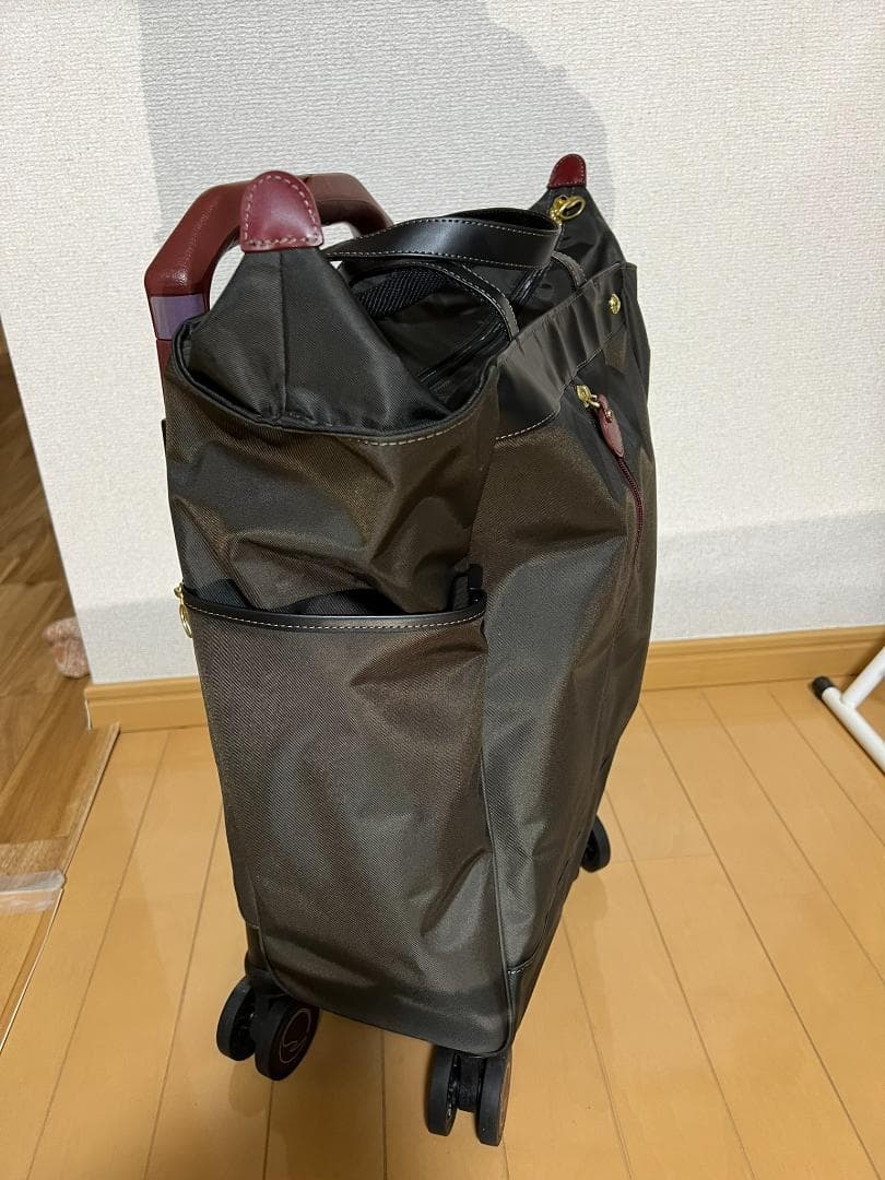 ACE soelte ソエルテ アルディート 20リットル