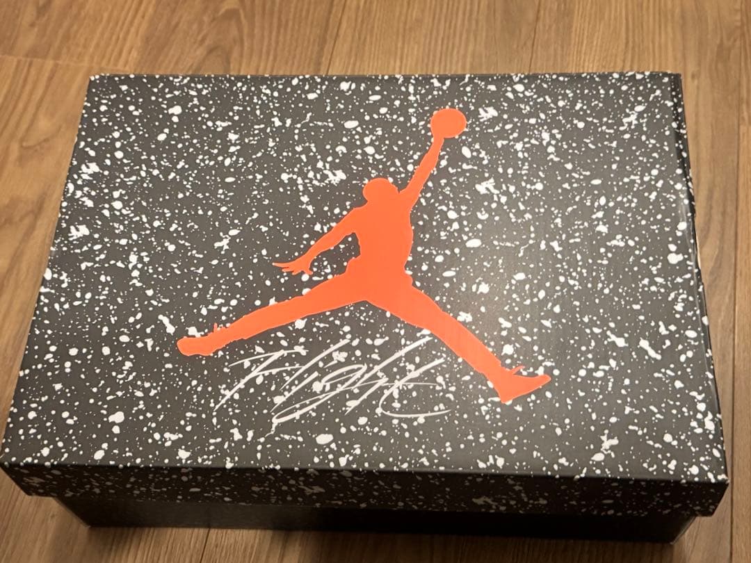 Jordan ジョーダン　スパイジーク　LOW 27.0cm