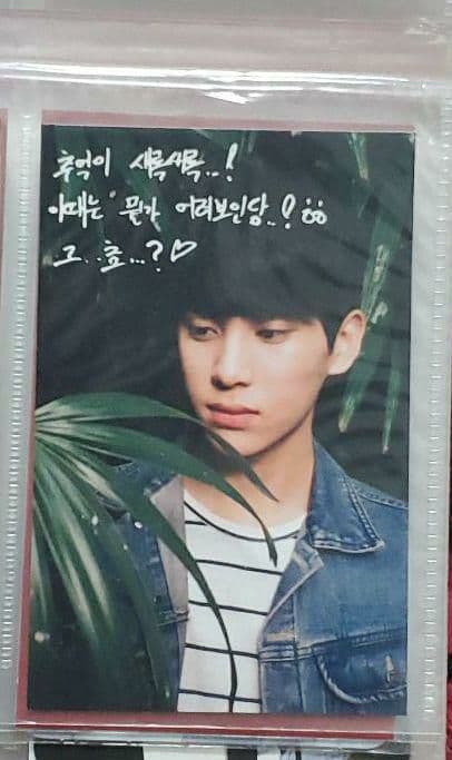 SF9 テヤン　wow cafe トレカ 1枚