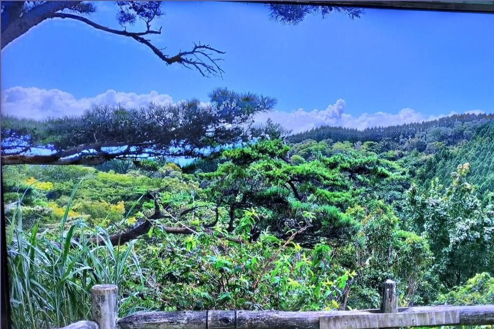 Hisense　ハイセンス 43型液晶テレビ 43A6100 2019年製