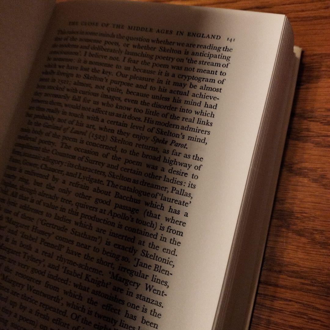 洋書 ENGLISH LITERATURE IN THE SIXTEENTH CENT