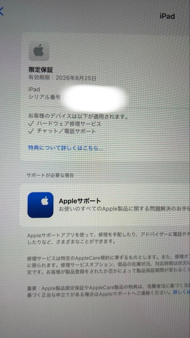 【美品】iPad(A16) 11世代 128GB wi-fi 本体 ブルー