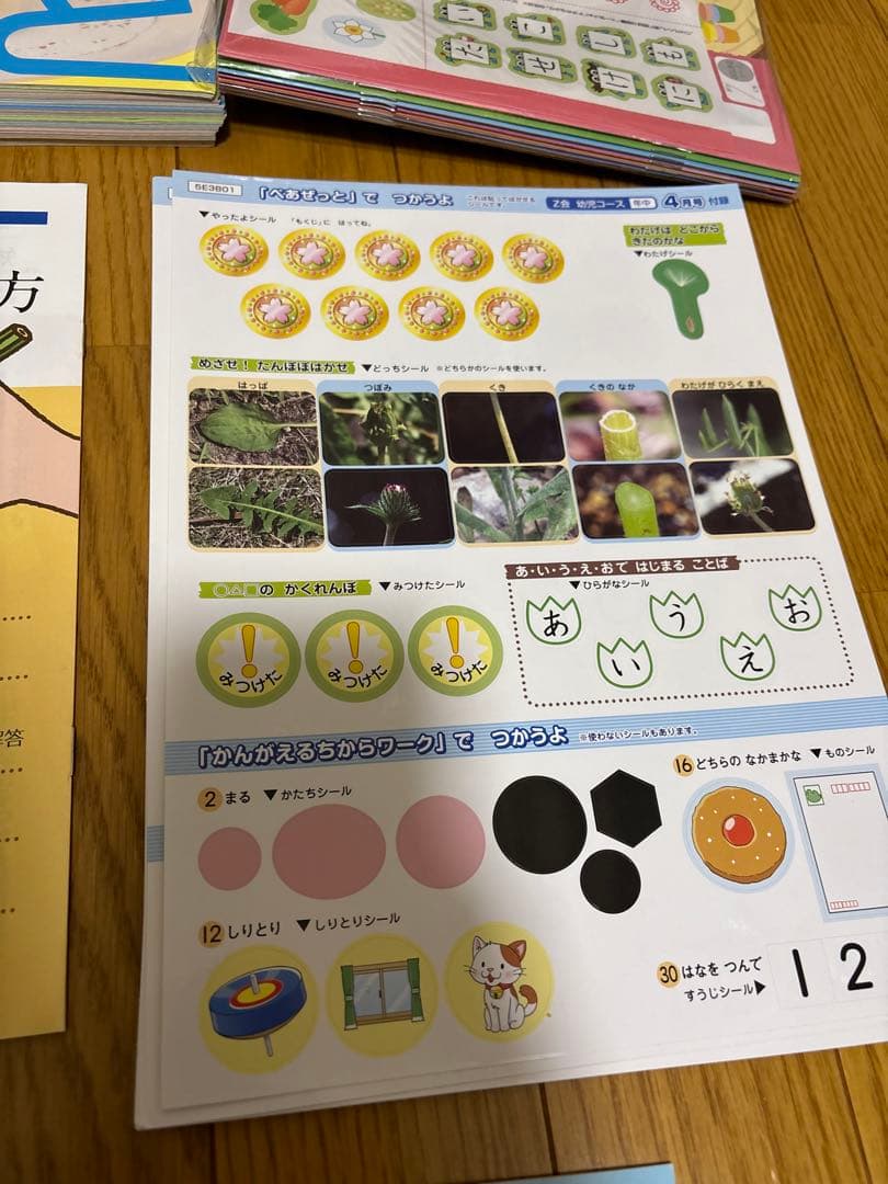 Z会　年中　かんがえるちからワーク 1年分　フルセット