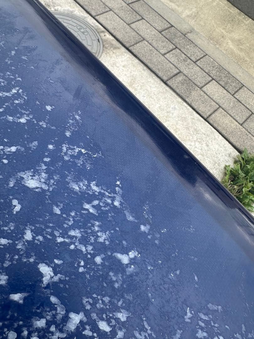 クリーム　プレイボーイ9.4 ロビンキーガルパーソナルボード⭐︎湘南地区手渡し限定